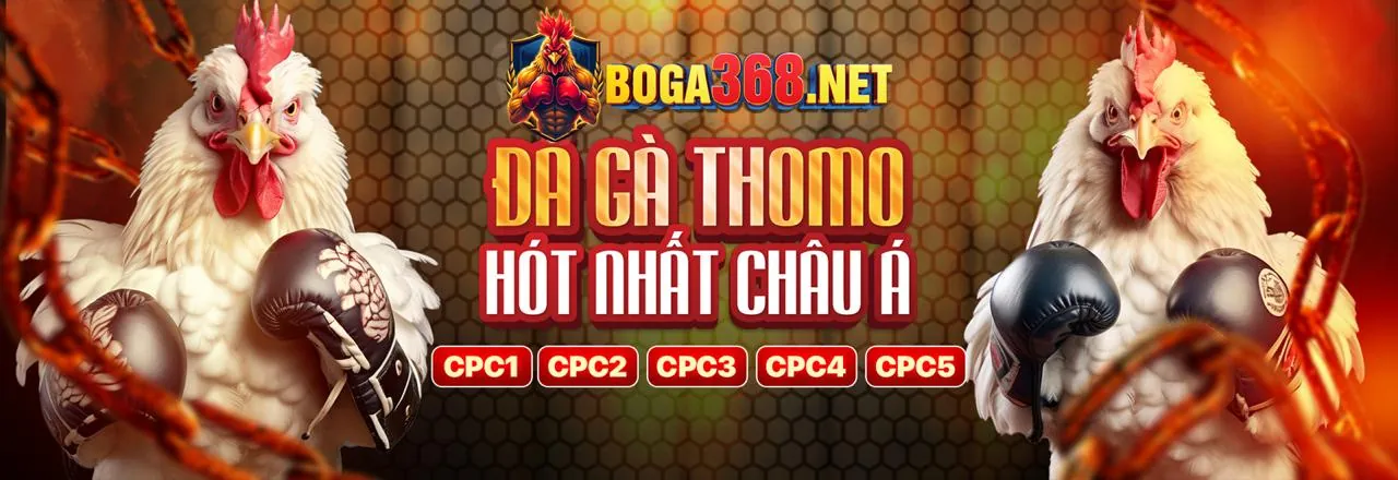 Tin tức 89bet1 APK mới nhất